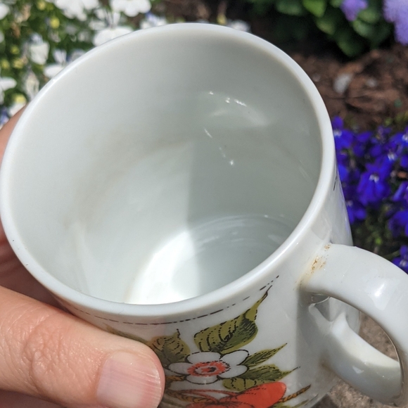 Vintage Jelly & Jam Ceramic Coffee Mugs Made in Japan Rose Hip & Crabapple Jelly - Picture 6 of 10